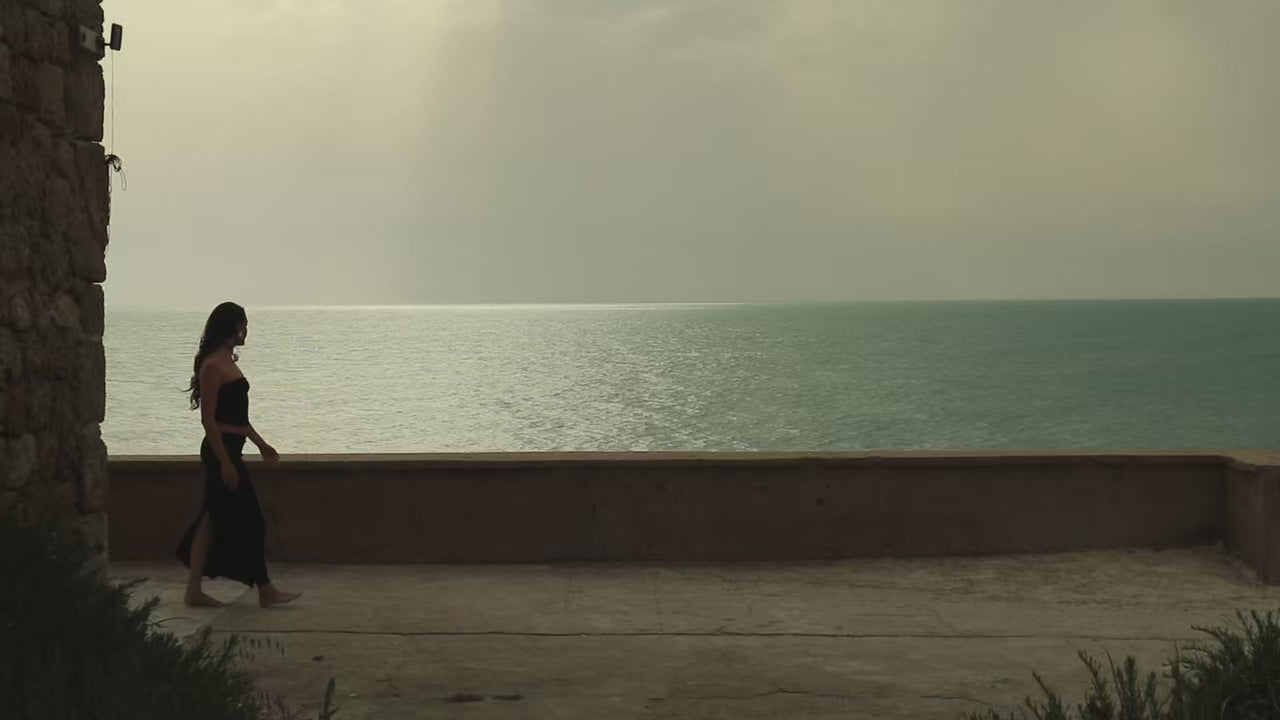 Carica il video: 